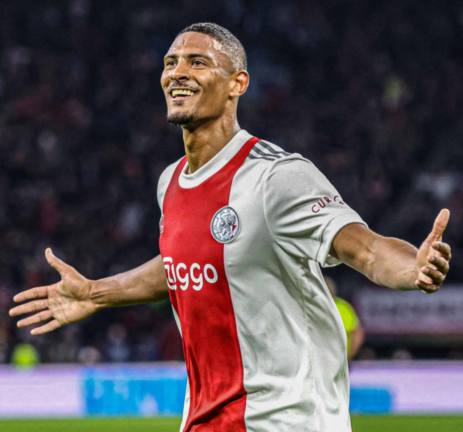 土培养出来 土培养出来