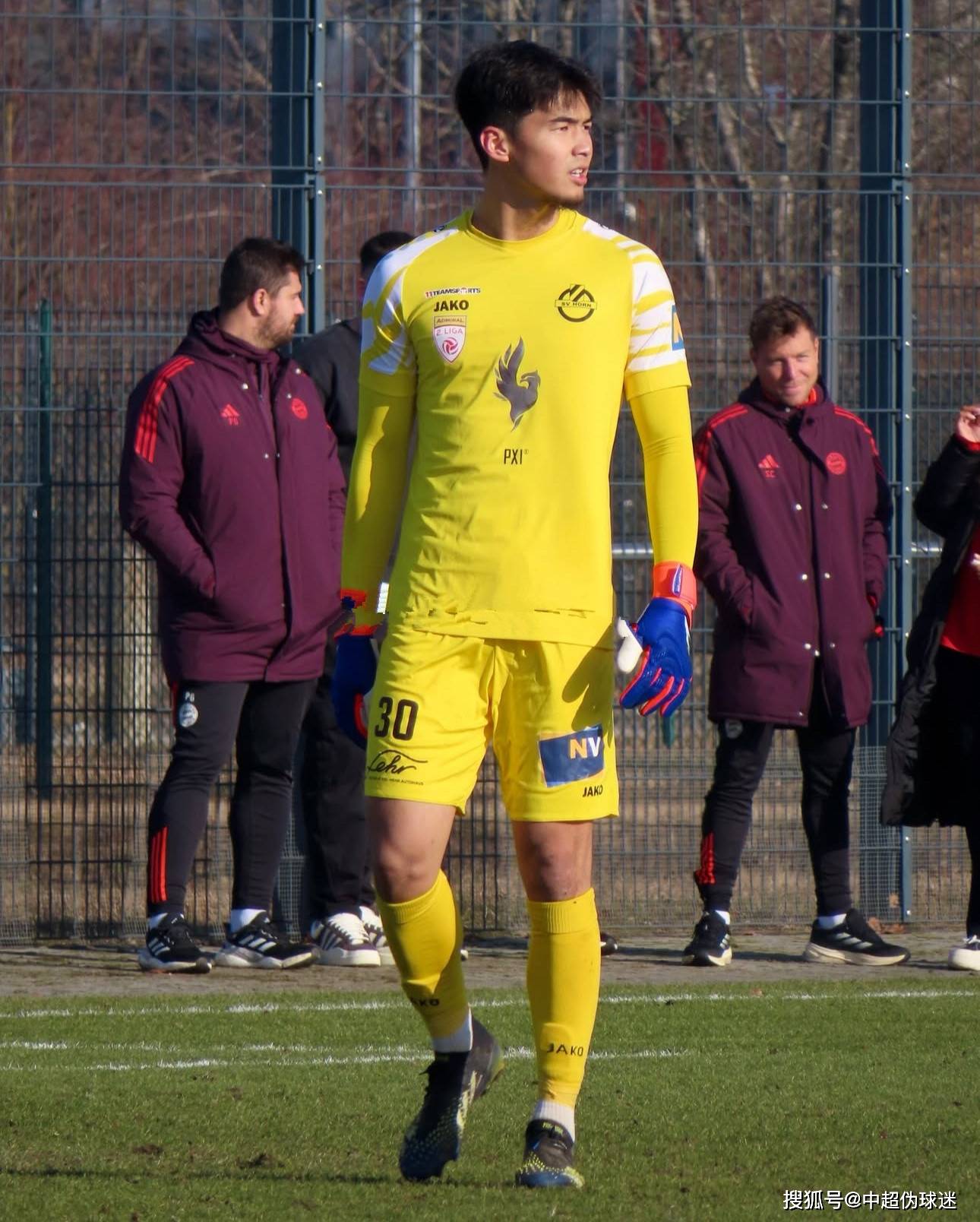 展示了巴西 展示了巴西