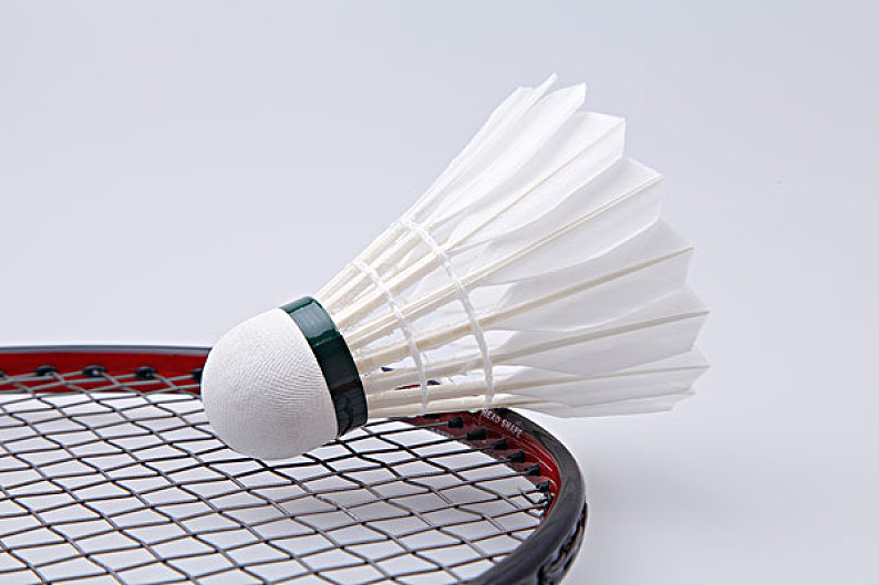 新调整轮换 新调整轮换