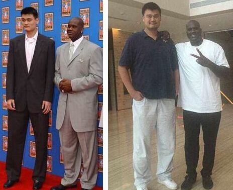 阵容健康度 阵容健康度