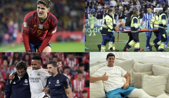 合同条款和 合同条款和